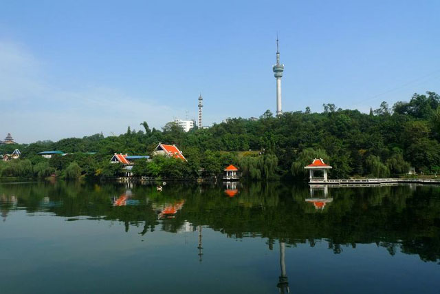 兴发娱乐·(中国游)最新官方网站